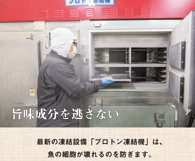 サカナDIY プロトン凍結